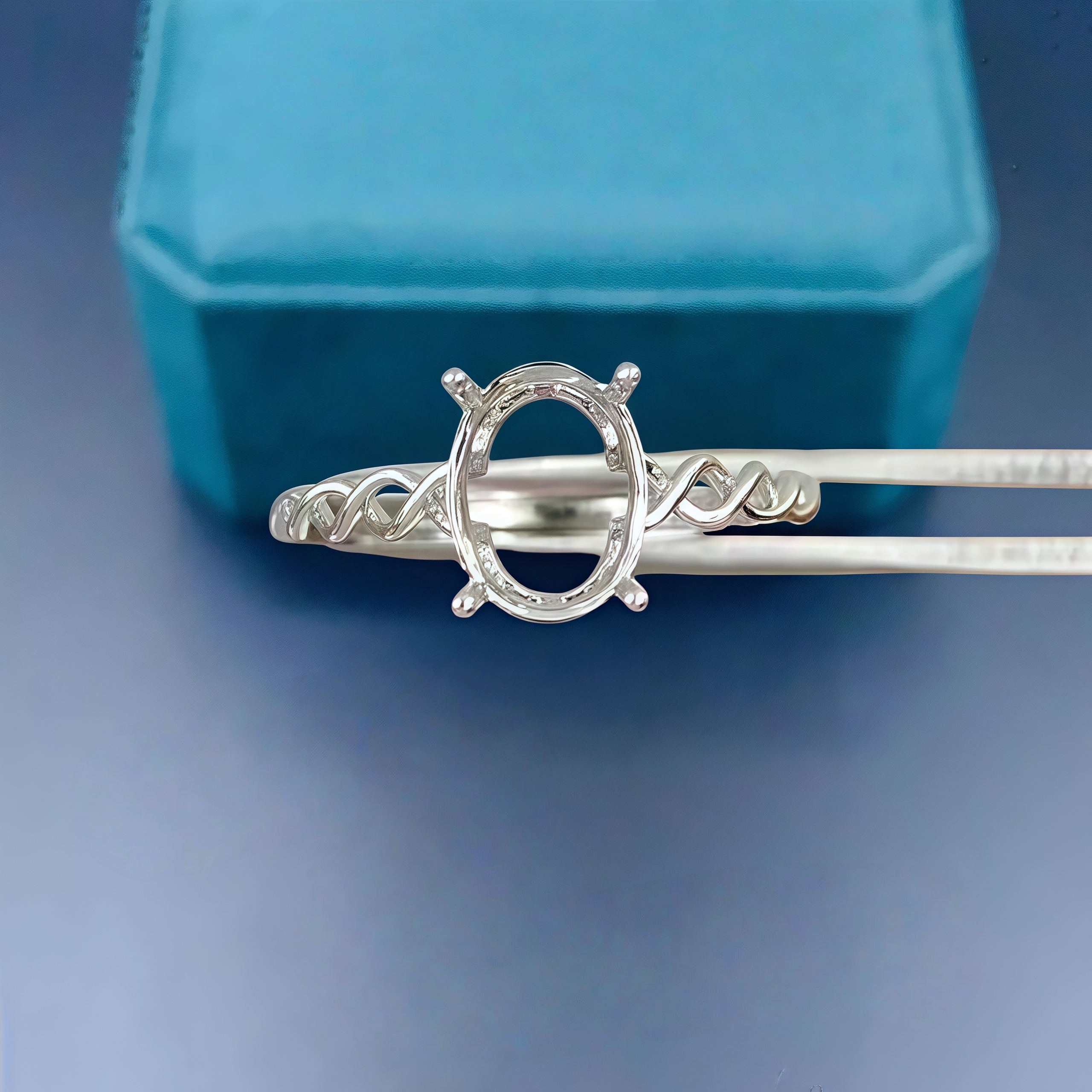 DIY Empty Ring Holder S925 Ste – обзор и цена Women Accessories Holder