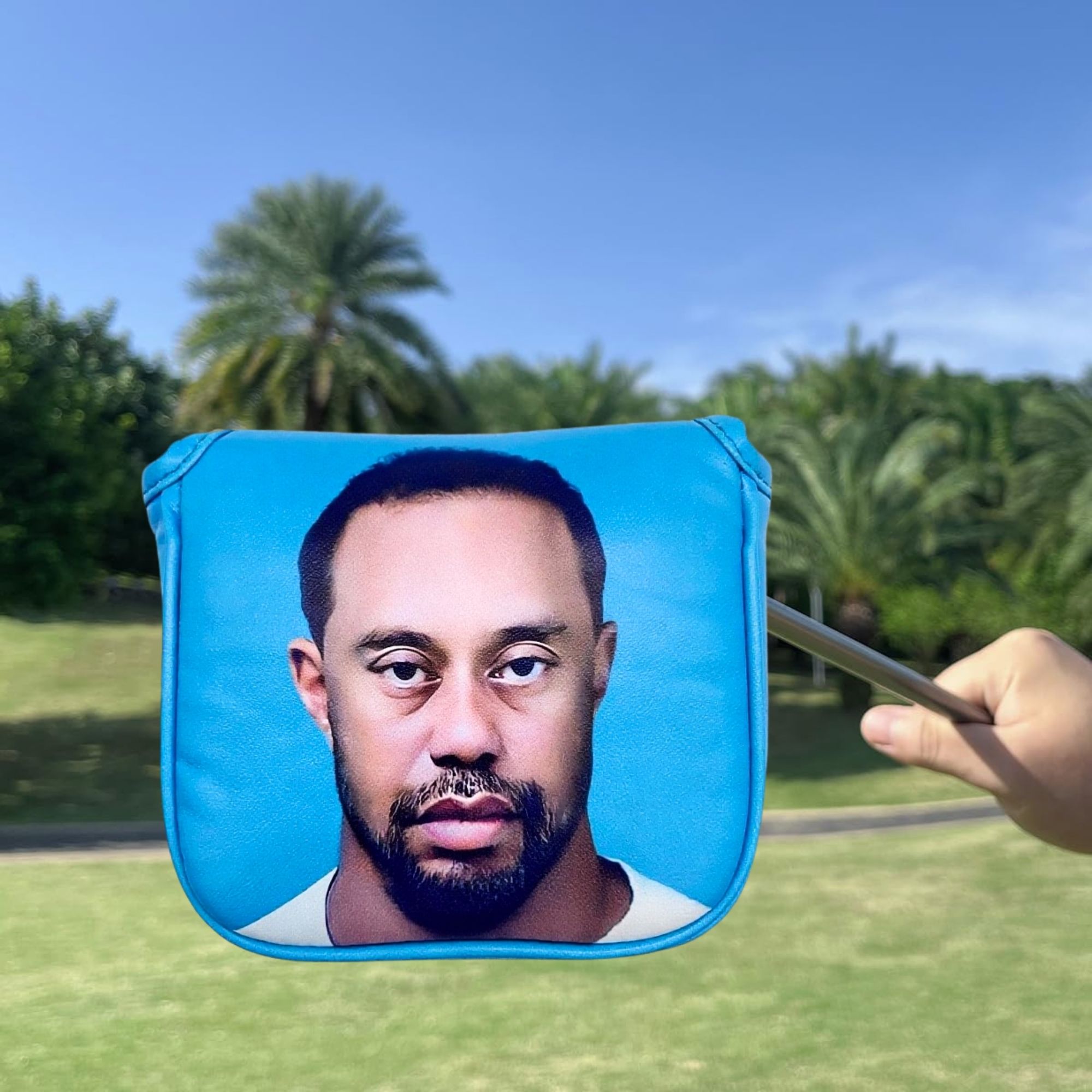 Funny Golf Mallet Putter Head  – обзор и цена Women'S Golf Accessories