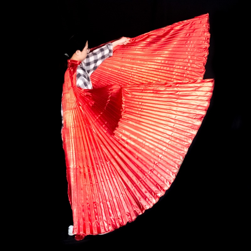 Belly Dance Wings Isis Wings A – обзор и цена Women Accessories Egypt